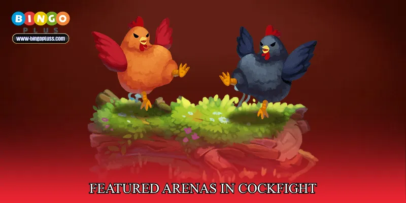 Featured Arenas in Cockfight