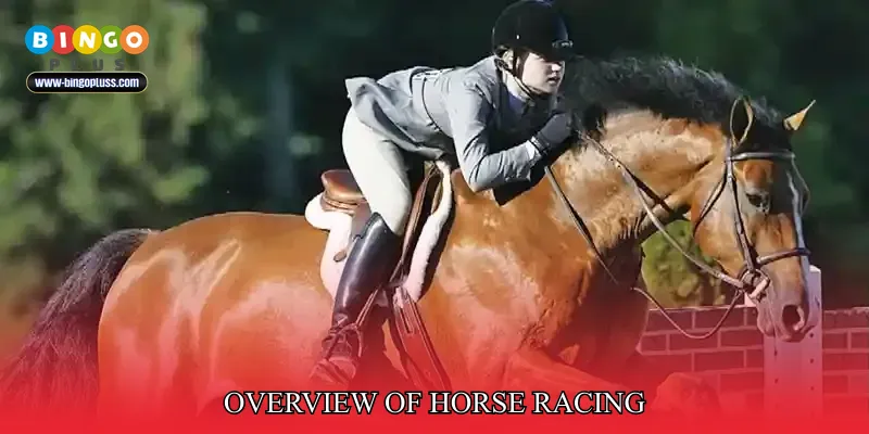 Overview of Horse Racing