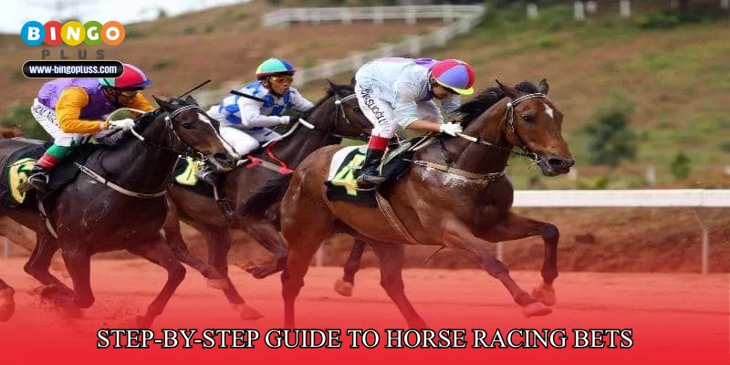 Step-by-Step Guide to Horse Racing Bets