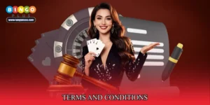 Terms And Conditions