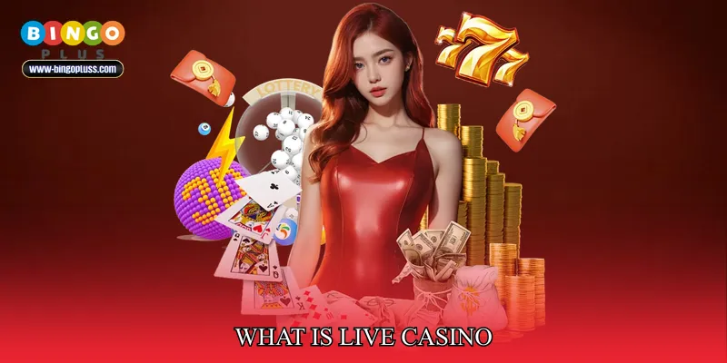 What Is Live Casino